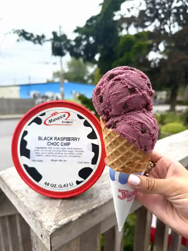 Black Raspberry Chocolate Chip Ice Cream
